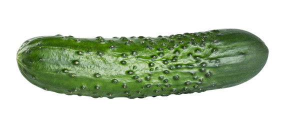 Fresh raw cucumber isolated on white background