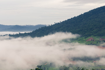 mountain in mist