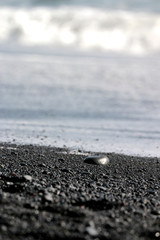 Pebbles on the black beach in Vik, Iceland
