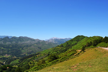 Beautiful landscape with summer meadow, green mountains and blue sky.