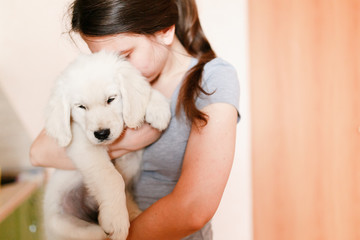 Young beautiful girl with a puppy of a golden labrador retriever in her arms, hugs, kisses and...