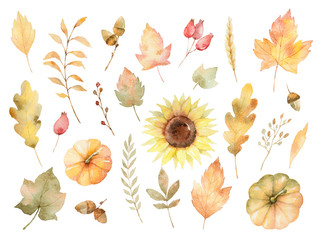 Obraz premium Watercolor autumn set of leaves, branches, flowers and pumpkins isolated on white background.