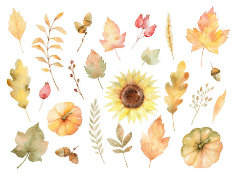 Watercolor Autumn Set Of Leaves, Branches, Flowers And Pumpkins Isolated On White Background.