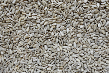sunflower seeds background