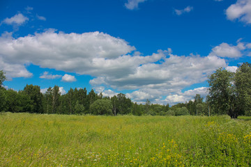 Летний парк