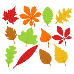Naklejka na ściany i meble Autumn / Fall Leaves Collection