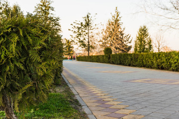 Path in the park on a blurred background