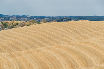 Fototapeta premium Panorama of tuscany in summer, with fields of wheat and blue sky