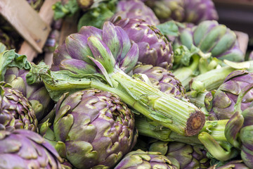 Obraz premium Group of artichokes