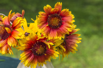 bouquet of yellow coneflowers outdoors