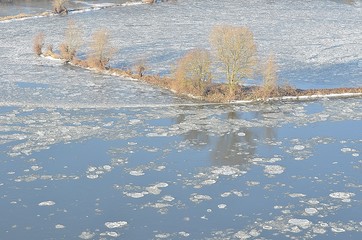 Arbres gelés,  La Loire, France