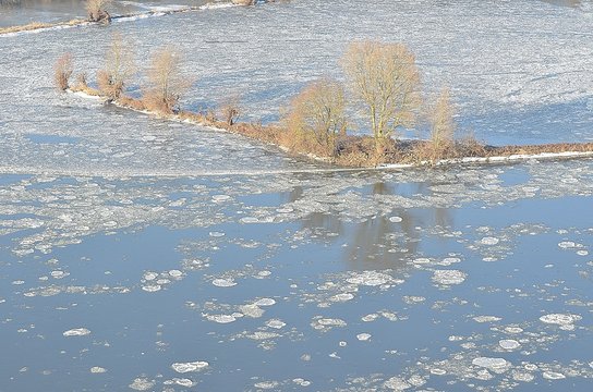 Arbres gel&eacute;s,  La Loire, France