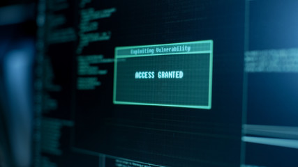 Display Showing Stages of Hacking in Progress: Exploiting Vulnerability, Executing and Granted...