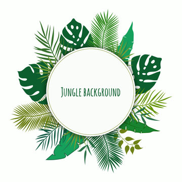 Jungle tropical background.