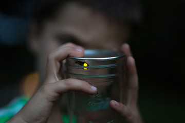 Child holding jar with firefly inside, close-up