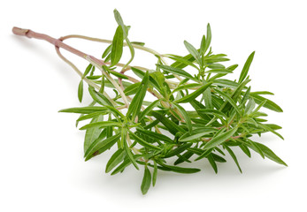 Thyme