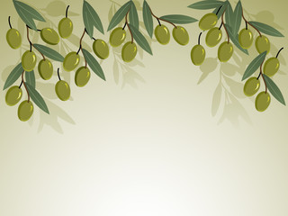 Olives background