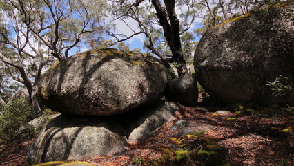 Bald Rock NP in New South Wales in Australien