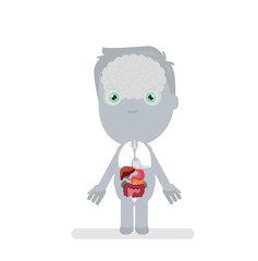 Human body anatomy vector illustration