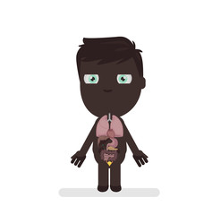 Human body anatomy vector illustration