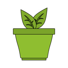 plant vector illustration