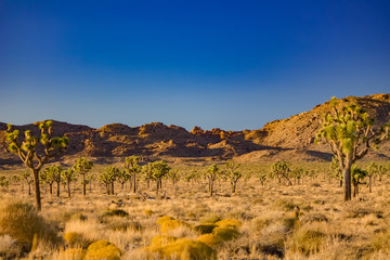 United states parks in the fall