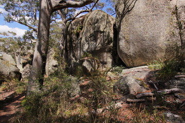 Bald Rock NP in New South Wales in Australien
