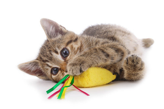 chaton jouant avec une souris en peluche jouet