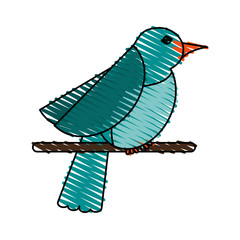 Blue bird doodle over white background vector illustration