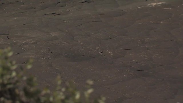 Aerial View of People Walking Across A Lava Field 2