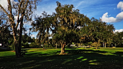 Reddick Florida Park