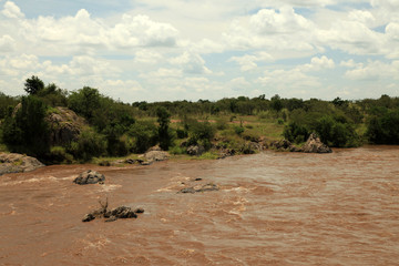 Mara River - Kenya
