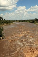 Mara River - Kenya
