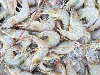 fresh shrimp,sea food background