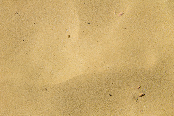 Sand texture. Sandy beach for background