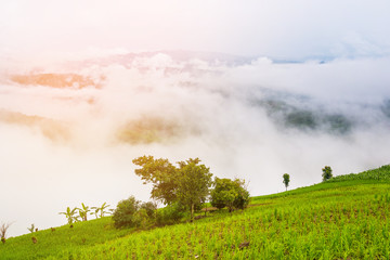 beautiful green mountain and clouds in northern of thailand.