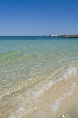 Baja Califronia Sur MEXICO