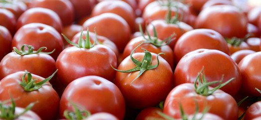 Fresh tomatoes for sale on a farmer market