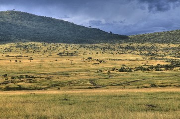 Safari Park - Maasai Mara - Kenya