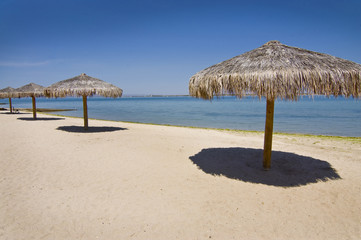 AMANECER EN AL MALECON DE LA PAZ,BCS.