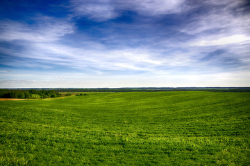 Fototapeta na wymiar Beautiful nature landscape