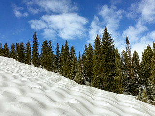 Untouched Powder in Colorado
