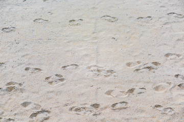 Footprints on grey sand during sunset closeup