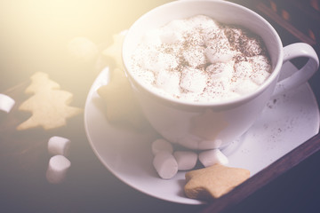 cup of hot cocoa with marshmallow and gingerbread cookies. Christmas food background.