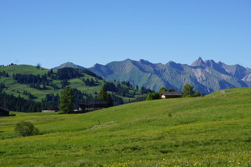 Fototapeta na wymiar Suisse 2017 paysage montagne