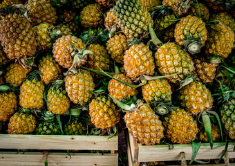 Fresh tropical pineapples