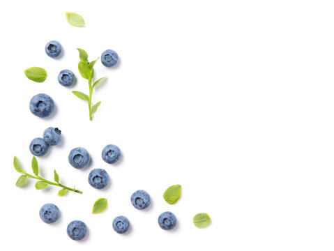 Fresh blueberries and leaves, berry ornament frame on white background, closeup, top view