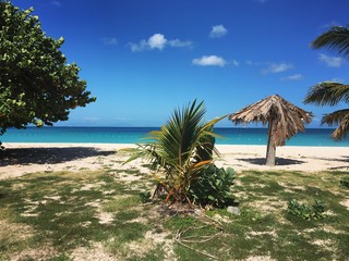 Spiaggia caraibica 