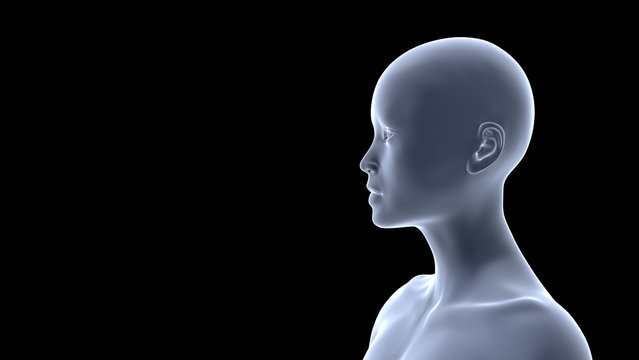 profile of a beautiful young woman  (conceptual 3d illustration on a black background)