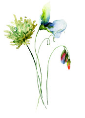 Decorative wild flowers - 164610285
